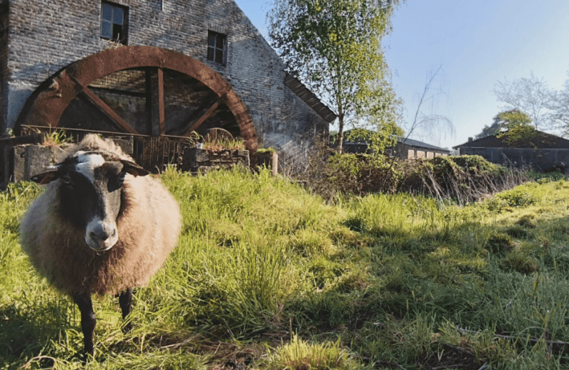 Schermafbeelding 2025 06 02 160838