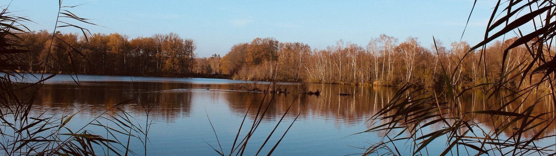 Familiepark goolderheide domein bokrijk natuur 6729e258dc23d