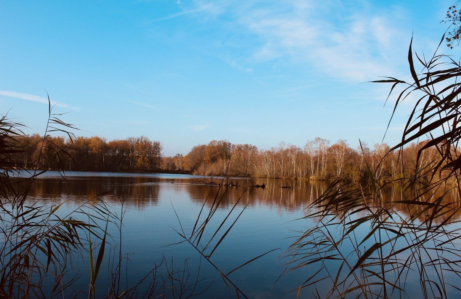 Familiepark goolderheide domein bokrijk natuur 6729e258dc23d