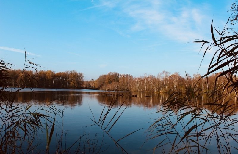 Familiepark goolderheide domein bokrijk natuur 6729e258dc23d