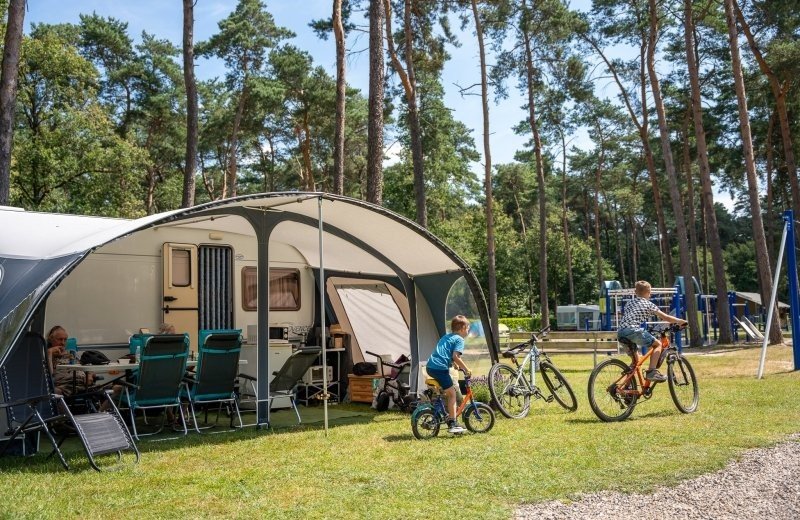 Goolderheide prosuco lr 111