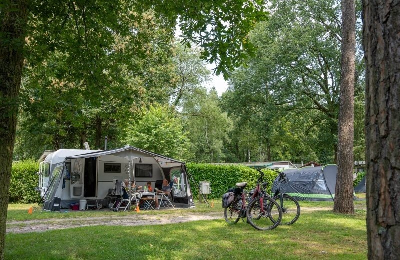 Goolderheide prosuco lr 115