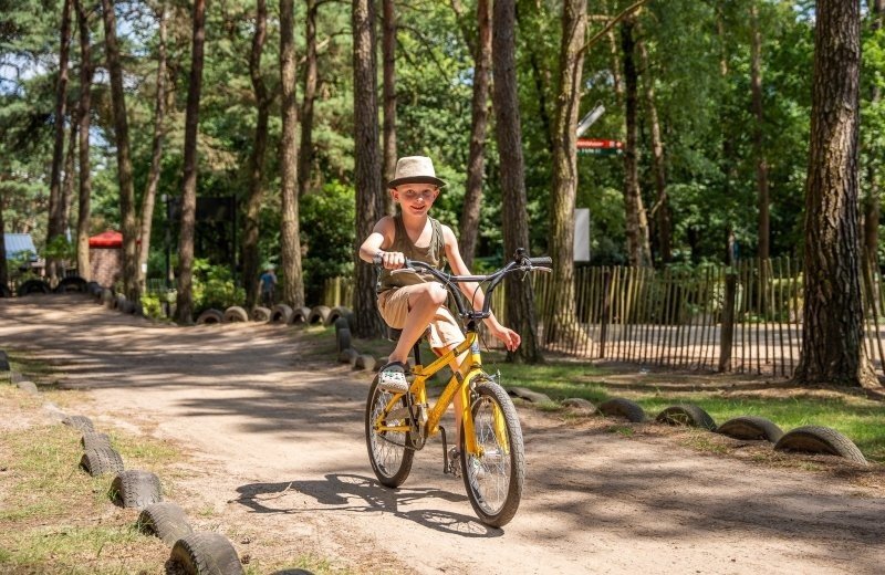 Goolderheide prosuco lr 162