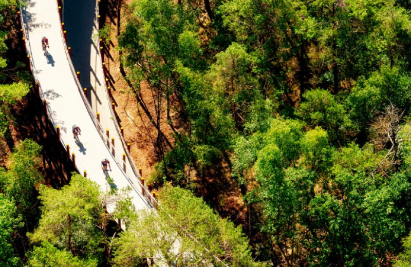 Nationaal Park Bosland